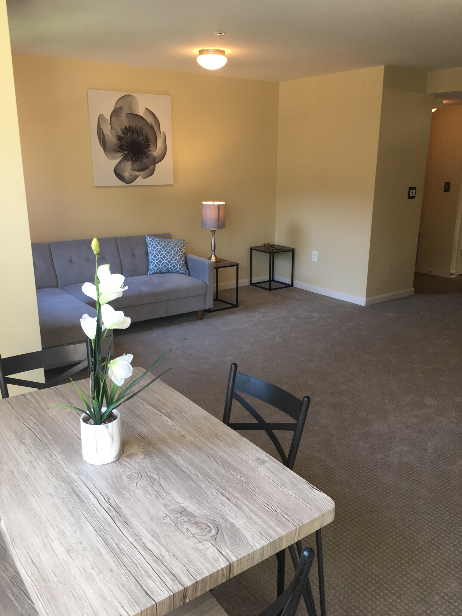 Building Photo - 1240 Holbrook Ter NE