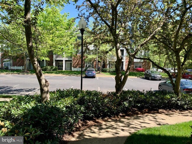 Building Photo - 20301 Beechwood Terrace