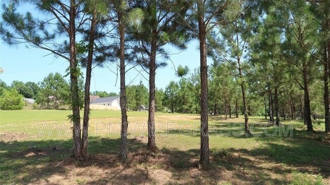 Building Photo - 174 Sandy Hls Ct