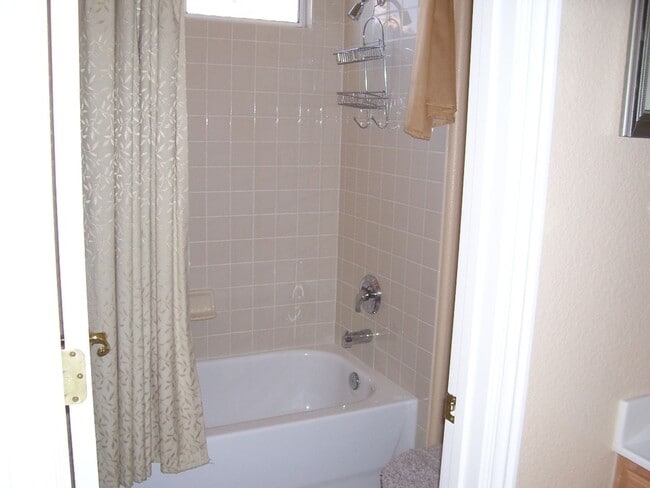 Building Photo - LACEBARK PINE