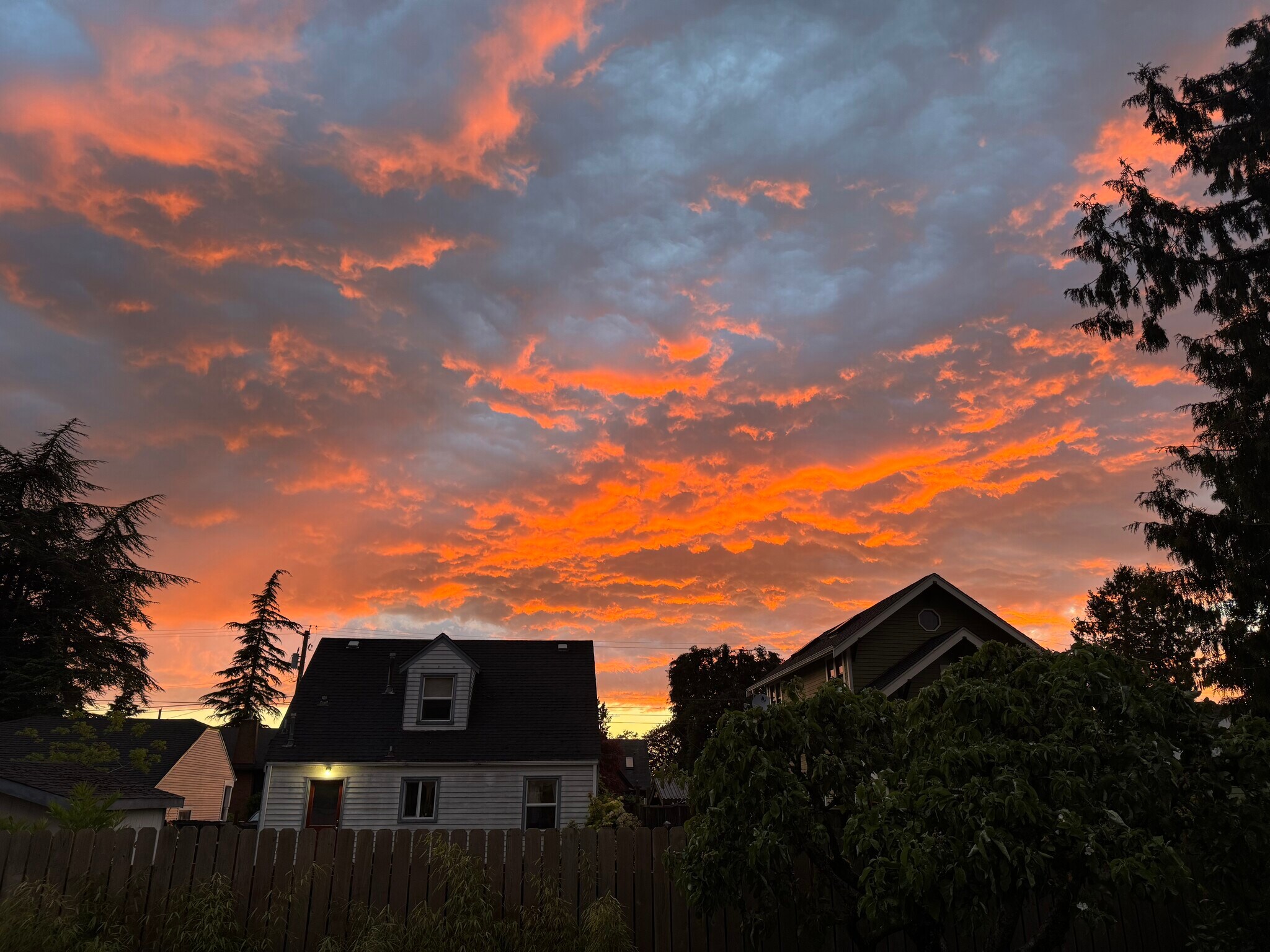 View from deck - 2321 West St