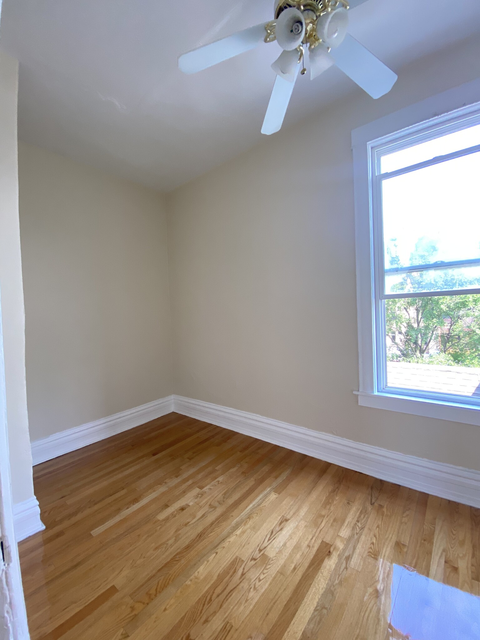 Back bedroom - 1243 N Campbell Ave