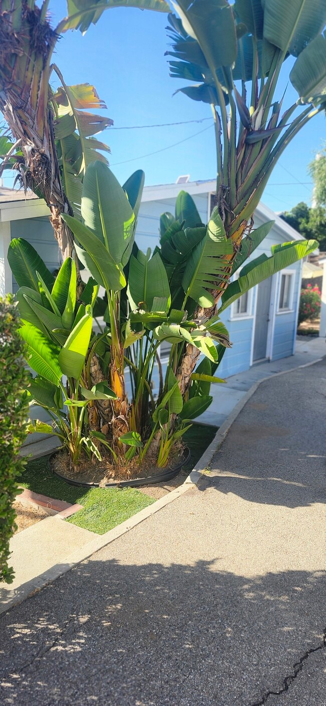 Building Photo - 826 Orange Grove Pl