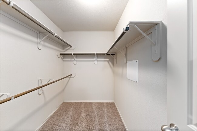 Building Photo - 21622 Cavallo Ln