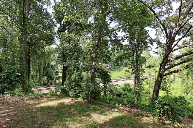 Building Photo - Student & Pet-Friendly Fry's Spring Duplex Near UVA