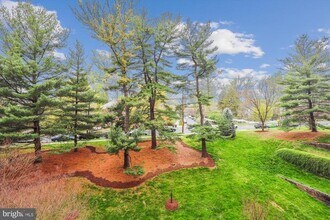 Building Photo - 4201 Cathedral Ave NW