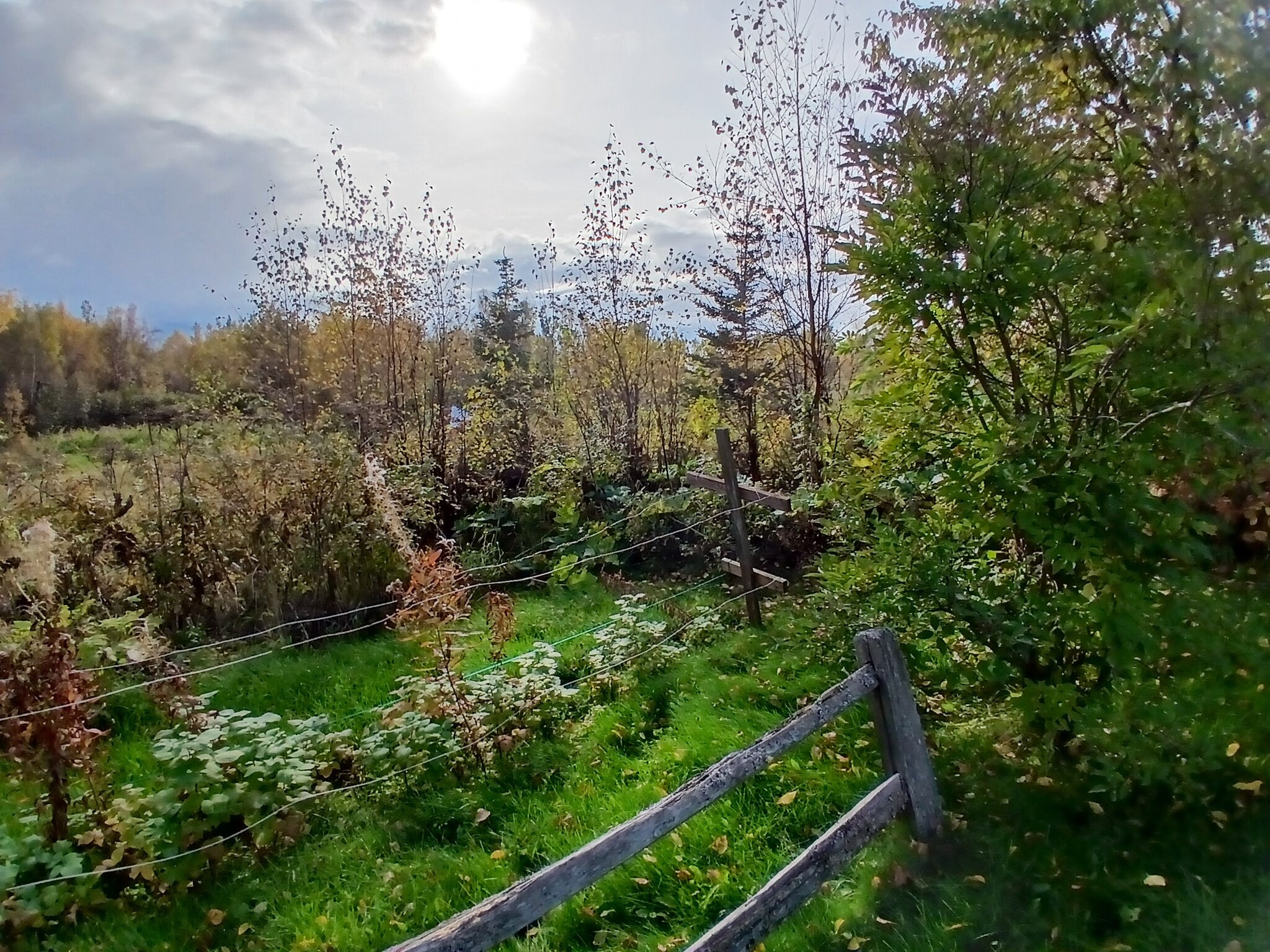 raspberry patch - 15160 E Robin Ln