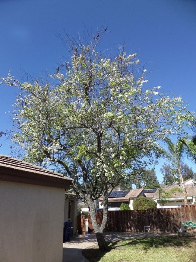 Building Photo - 3 Bedroom-2 Bathroom Single Story Home in ...