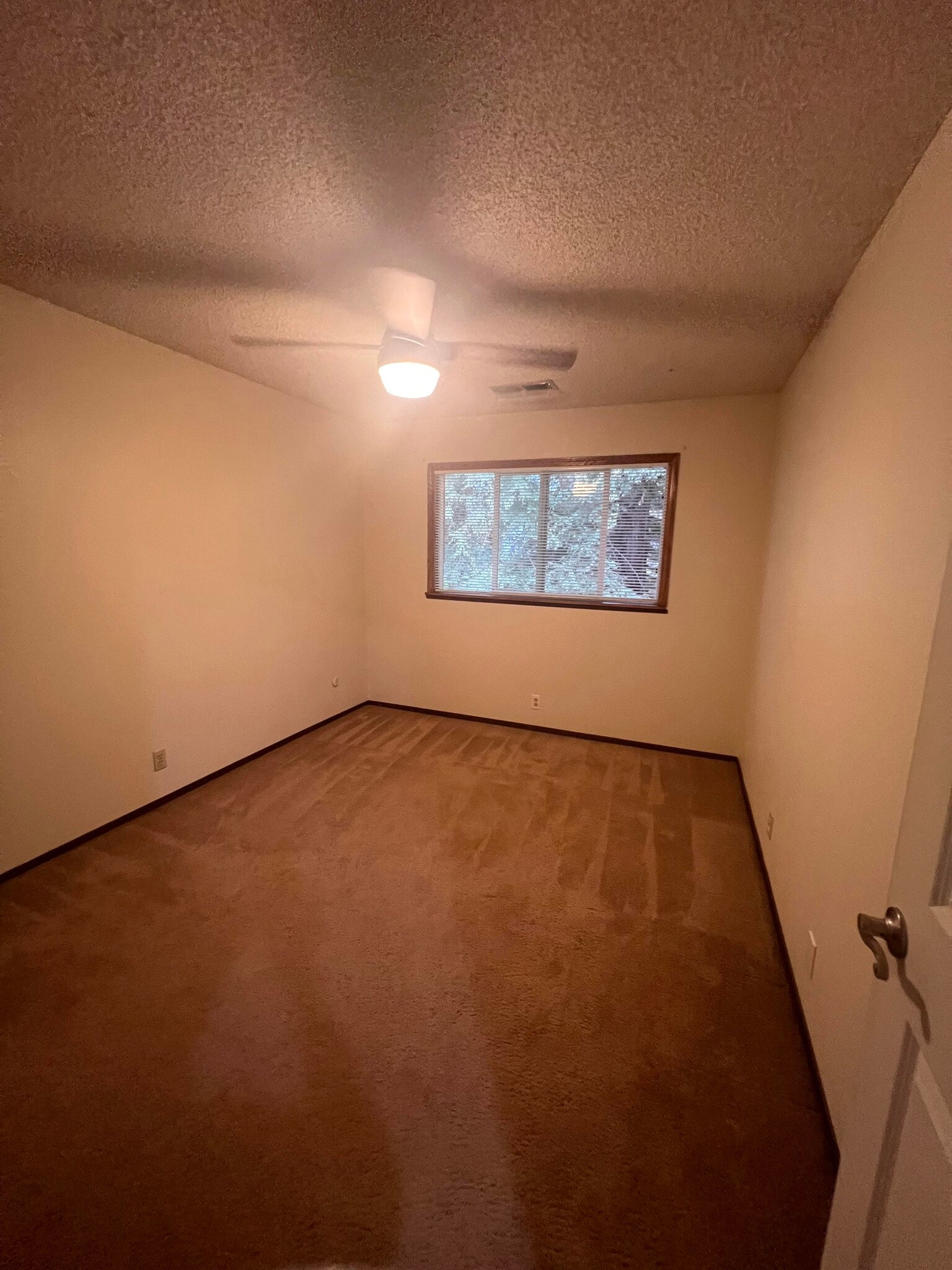 Building Photo - 4410 Hampton Ct