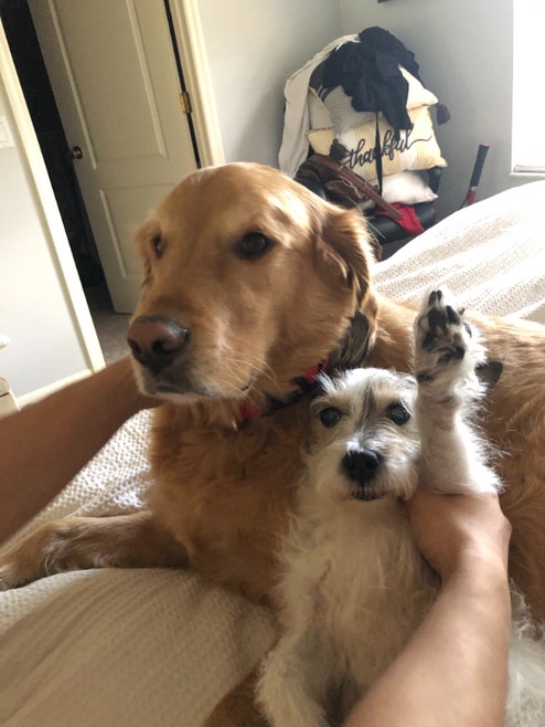 Building Photo - 547a E Dover St