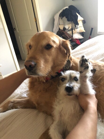 Building Photo - 547 E Dover St