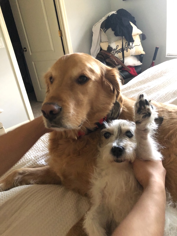 Building Photo - 547a E Dover St