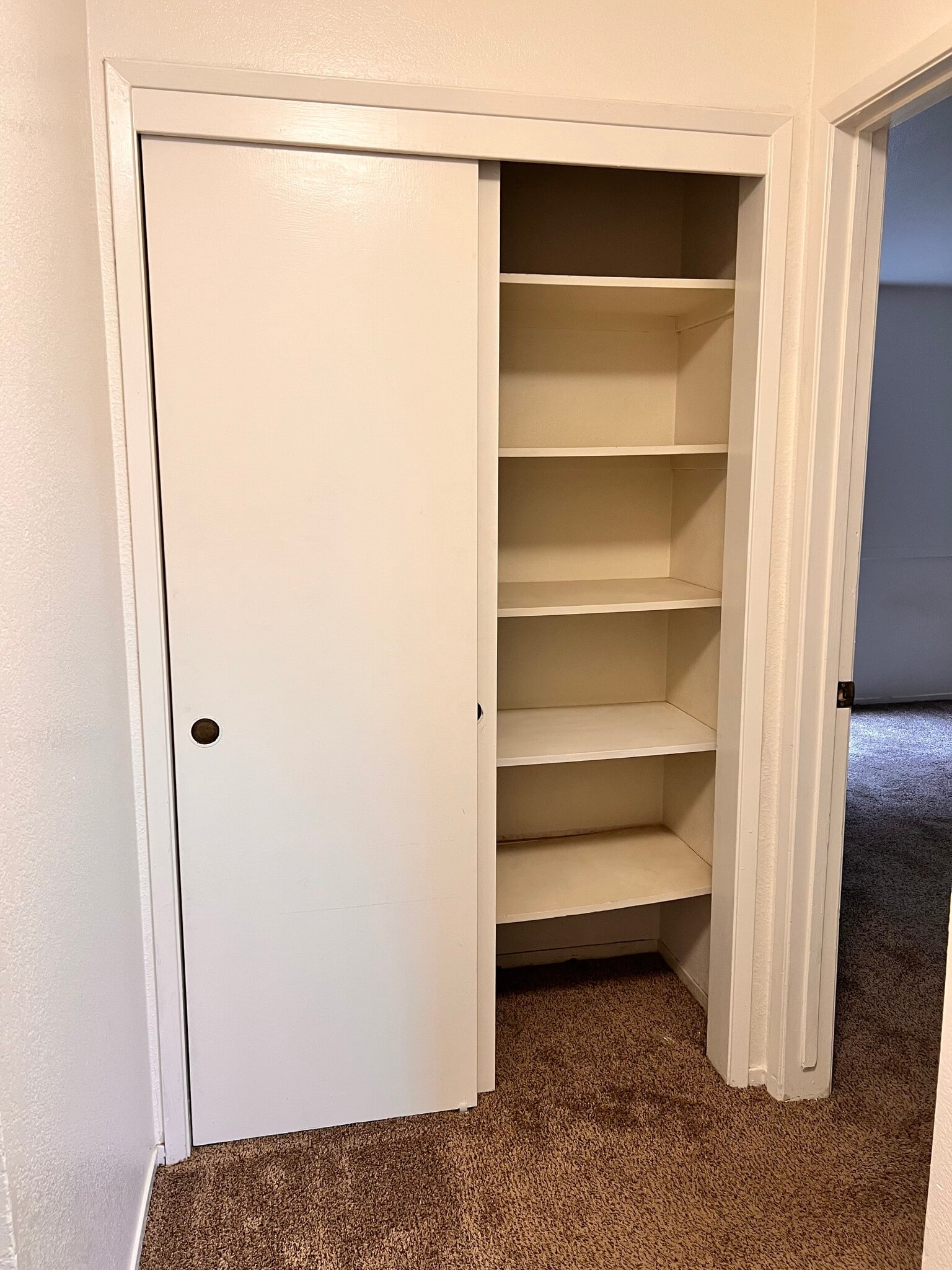 Hall closet storage - 9012 Cornwall Dr
