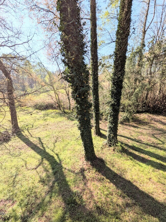 Building Photo - 905 Cone Rd