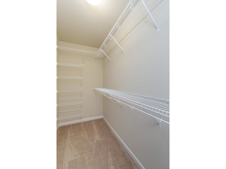 Building Photo - 810 Waler Dr