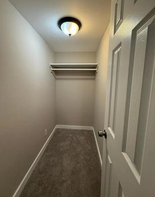 Building Photo - 221 Sheppard Pl