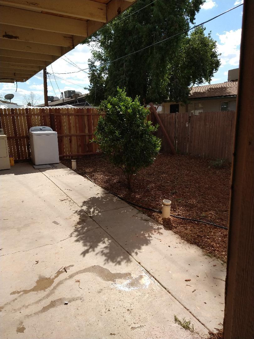 Building Photo - 1515 W Desert Cove Ave