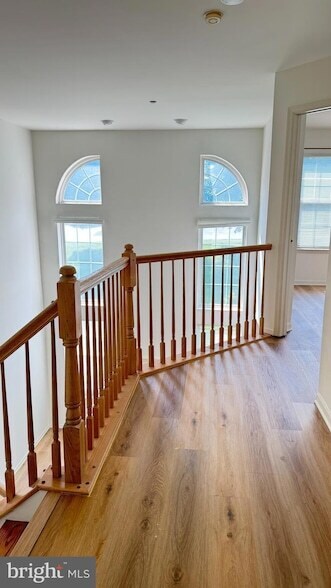 Building Photo - 207 Lookout Pl