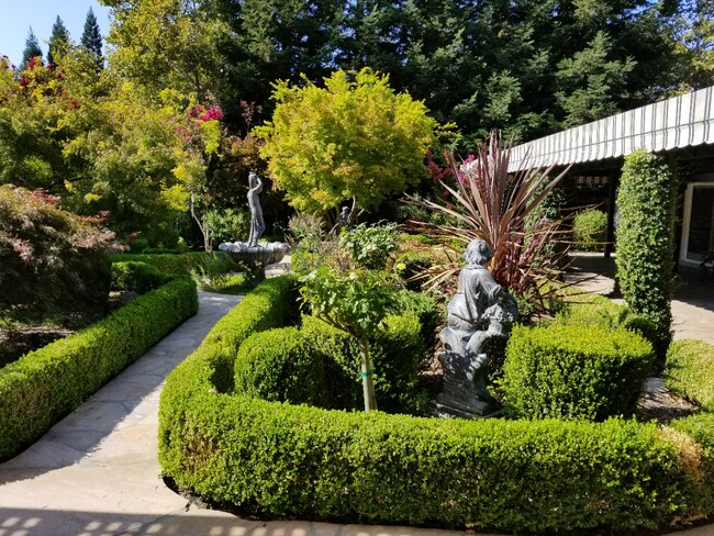 Building Photo - 5 Bed 4 Bath Gated Home In Alamo