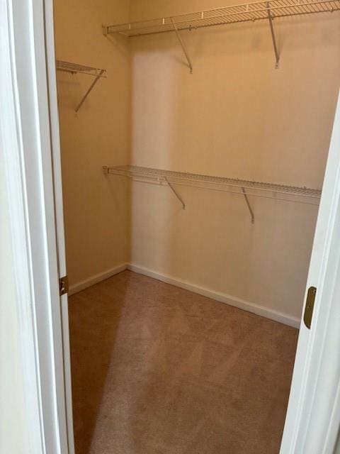 Building Photo - 3171 Creston Park Ct