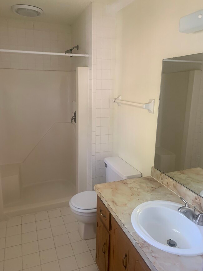 Master Bath - 1736 Springwoods Lake Dr