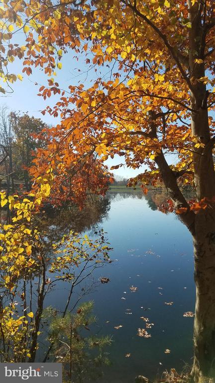 Building Photo - 5412 Midship Ct