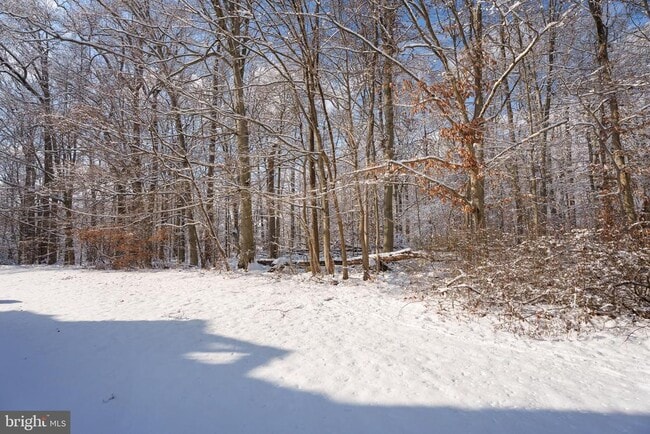 Building Photo - 7123 Elm Ct