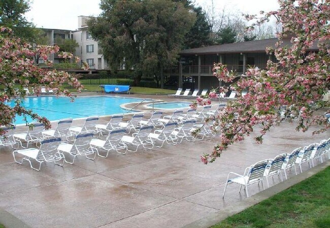 Building Photo - UPGRADED, TOP FLOOR, WATER VIEW STUDIO at WATERGATE
