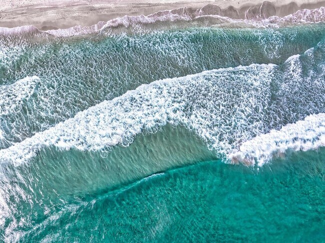 Building Photo - 501 N Ocean Blvd