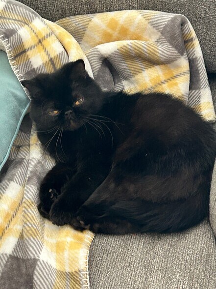 Building Photo - 5506 Starlight Ave