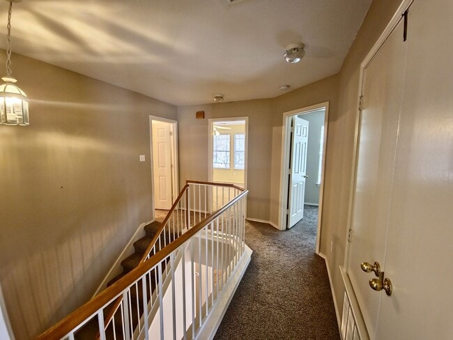 Building Photo - Enchanting 4 Bedroom home located in Plum Creek!