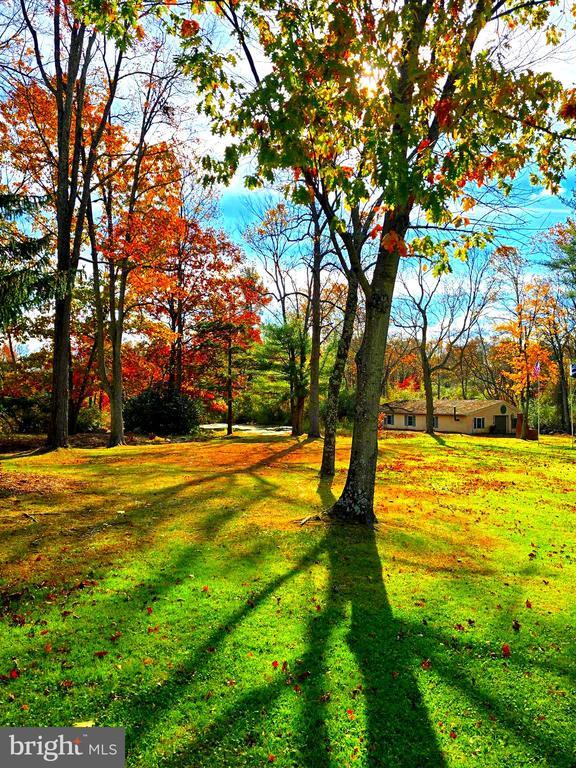 Building Photo - 1951 Conestoga Rd