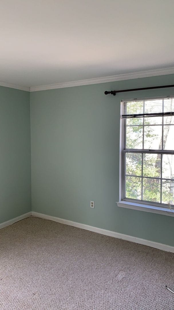 Building Photo - Top Floor Condo with Fireplace and Open Fl...