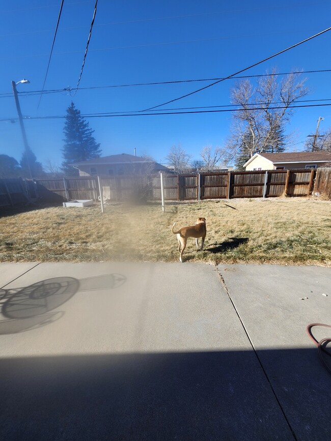 Building Photo - 830 Windmill Rd