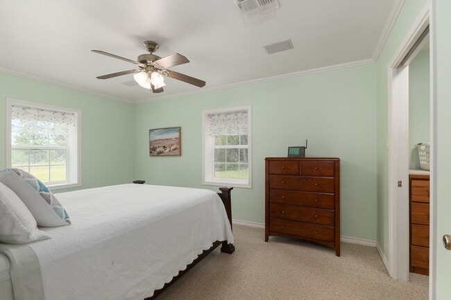 Building Photo - 1072 Papenberg Rd