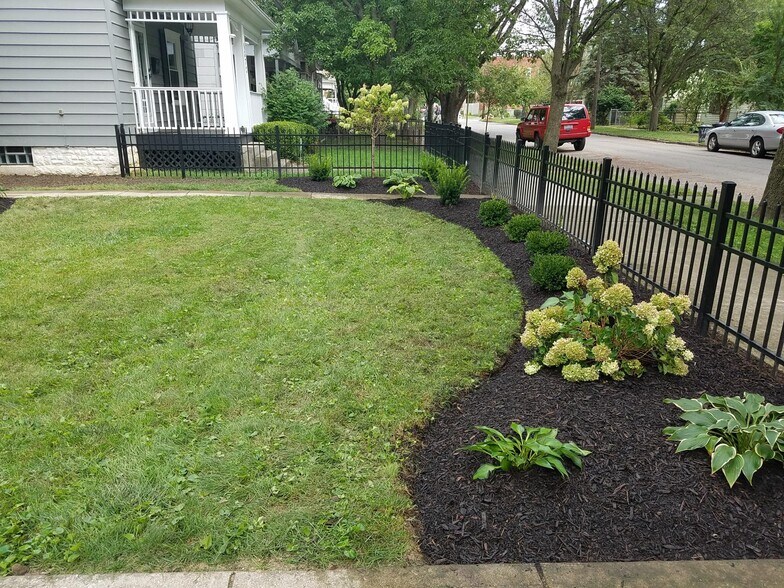 Front yard landscaping - 364 E Mithoff St