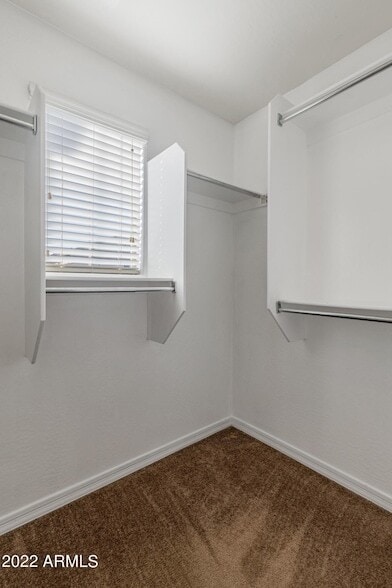 Building Photo - 3983 E Cat Balue Dr