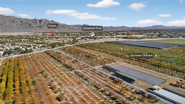 Building Photo - 8113 Celina Hills St