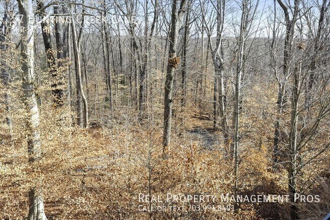 Building Photo - 57 Hunting Creek Ln