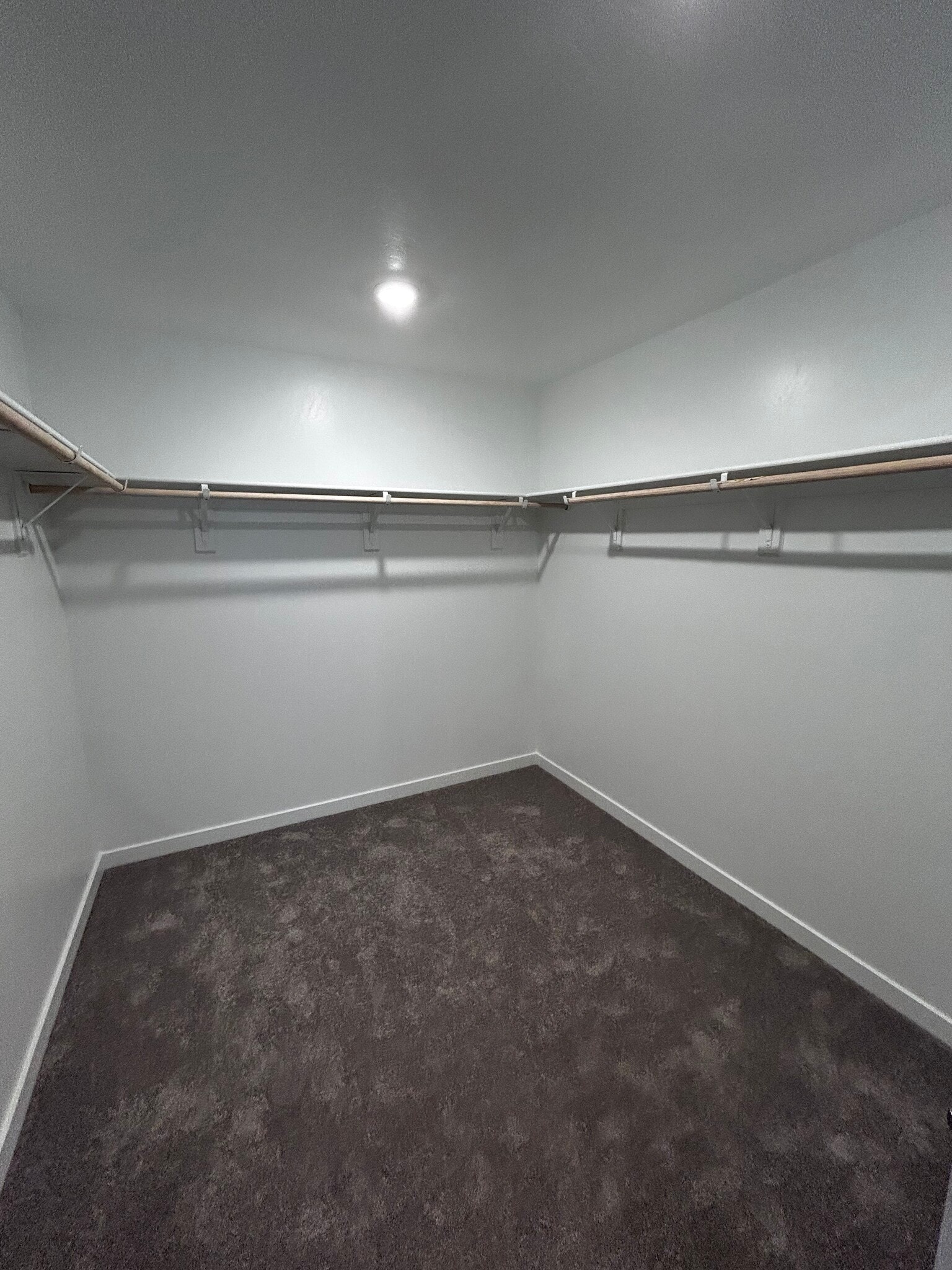 Large Walk in Closet - 8716 Hamblen Ct