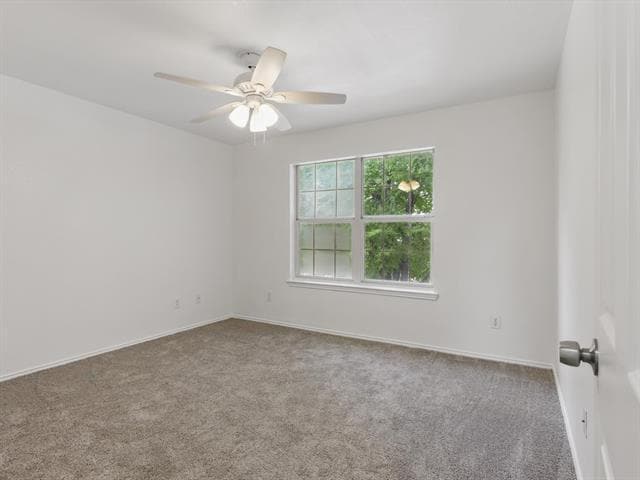 Building Photo - 8532 Cactus Flower Dr