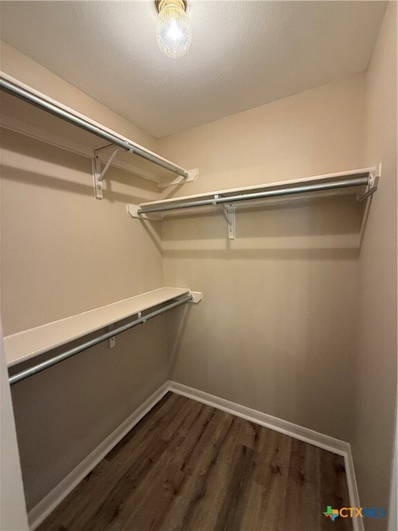 Building Photo - 1645 Kimberly Dawn Dr