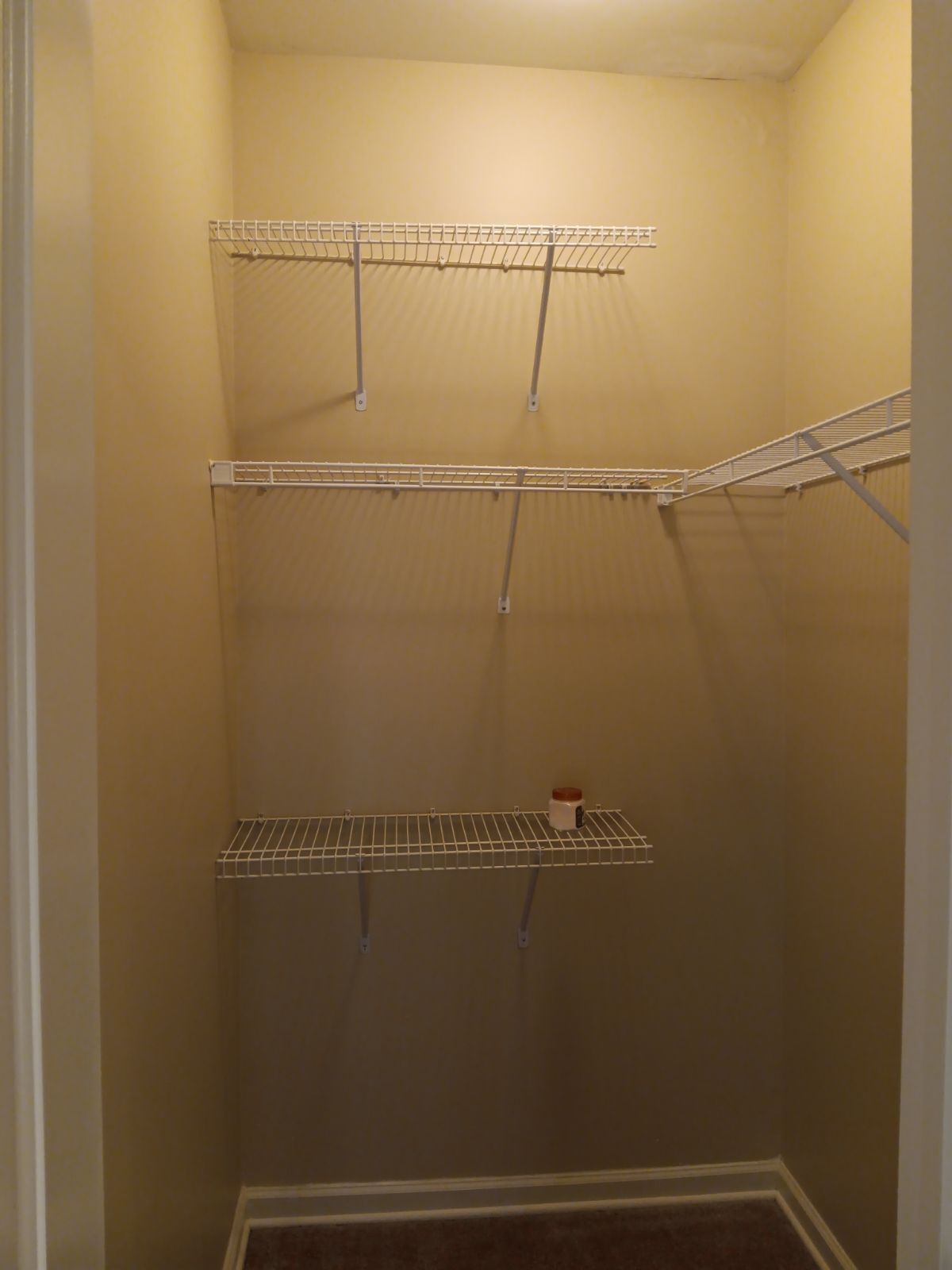 Bedroom 2 closet - 1007 Meriweather Dr