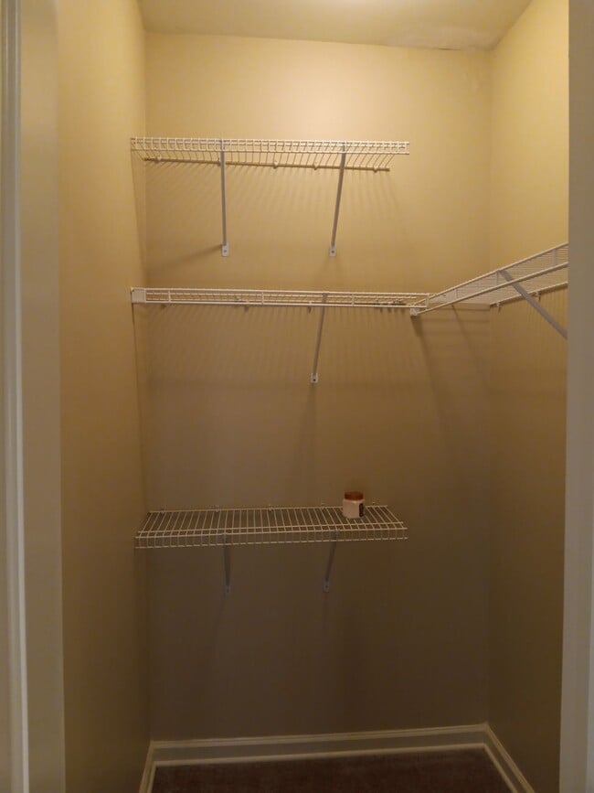 Bedroom 2 closet - 1007 Meriweather Dr