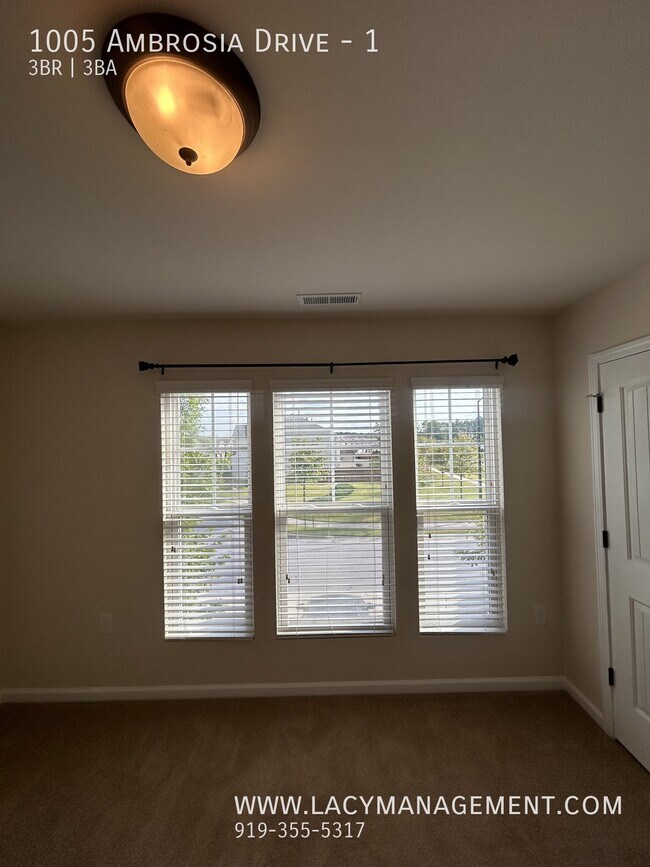 Building Photo - 1005 Ambrosia Dr