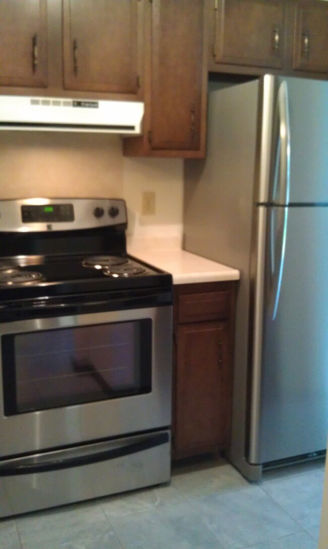 stove and fridge - 1334 Spring Village Dr