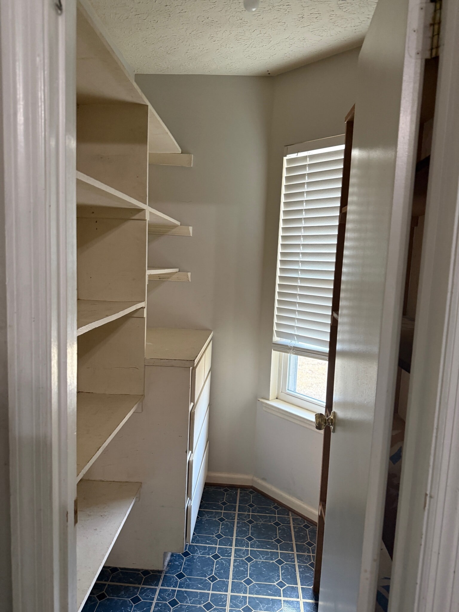 pantry - 255 Falcon Dr