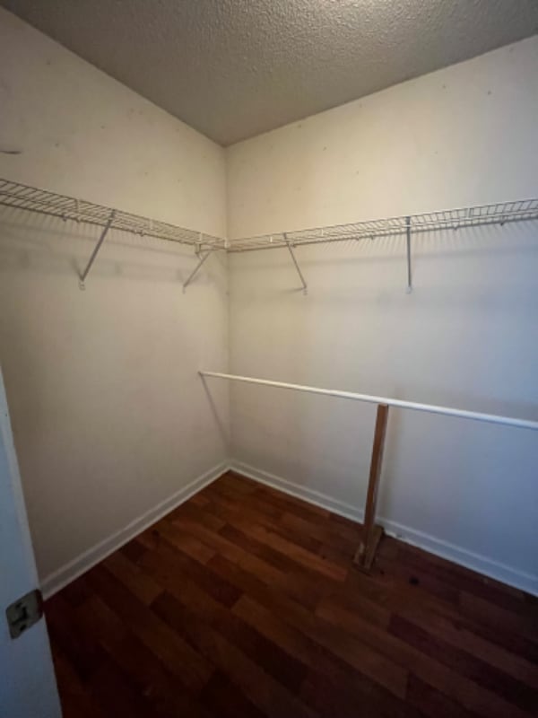 Building Photo - 5420 Sapphire Cir