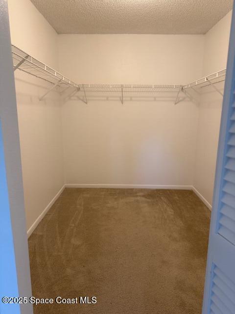 Building Photo - 1806 Macklin St NW