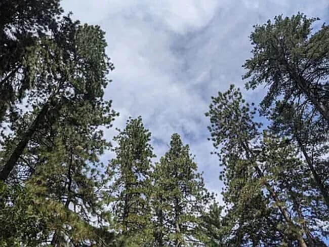 Building Photo - 358 Alpine Dr